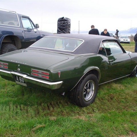 crop-28.mai.2009_095__2_