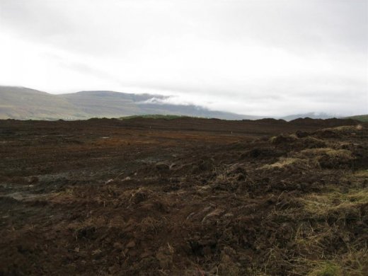 09.09.09_009__large_