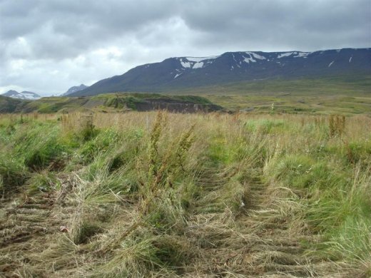 25.08.2009_004__large_