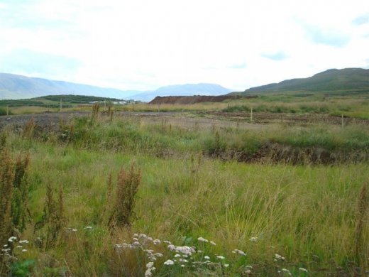 25.08.2009_010__large_