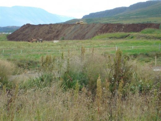 25.08.2009_013__large_