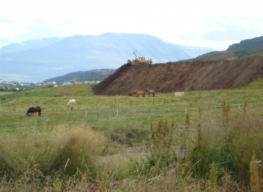 25.08.2009_015__large_