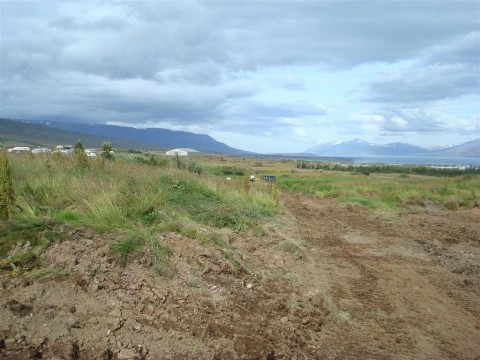 25.08.2009_005__large_