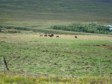 25.08.2009_007__large_