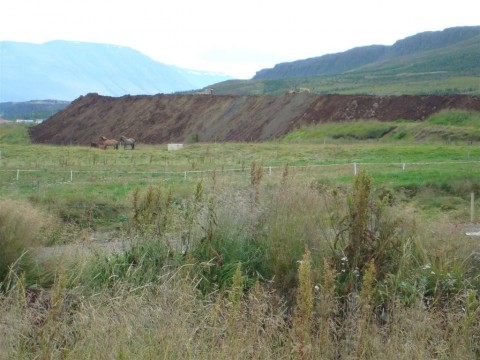 25.08.2009_012__large_