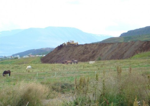 25.08.2009_014__large_