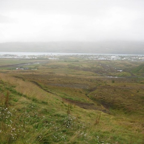 crop-09.09.09_007__large_