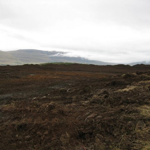 crop-09.09.09_009__large_