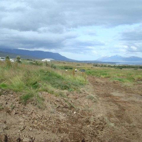 crop-25.08.2009_005__large_