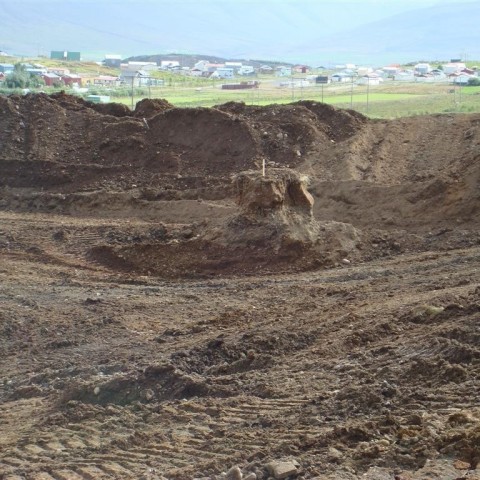 crop-25.08.2009_006__large_