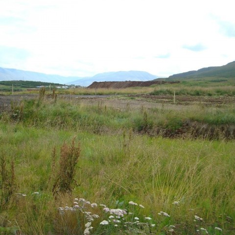 crop-25.08.2009_010__large_