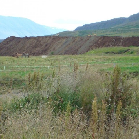 crop-25.08.2009_012__large_