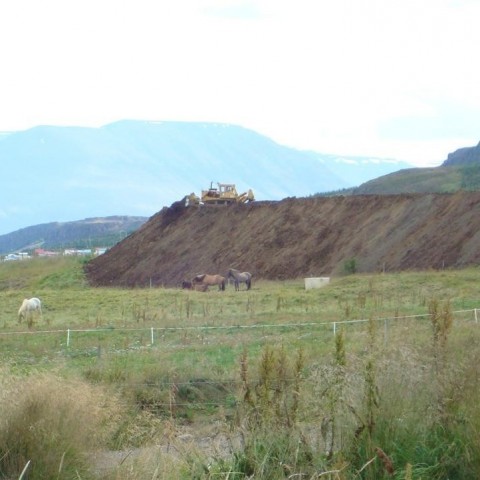 crop-25.08.2009_014__large_