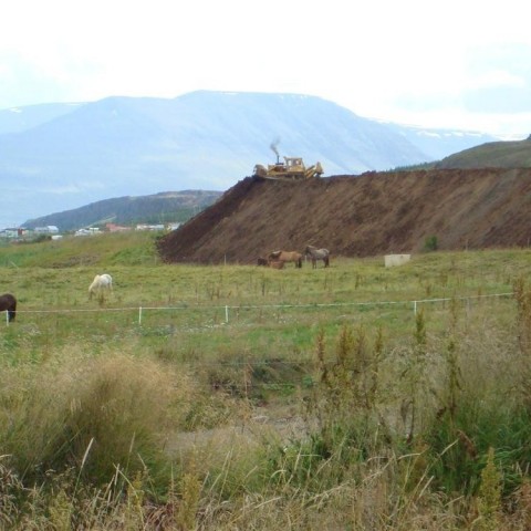 crop-25.08.2009_015__large_