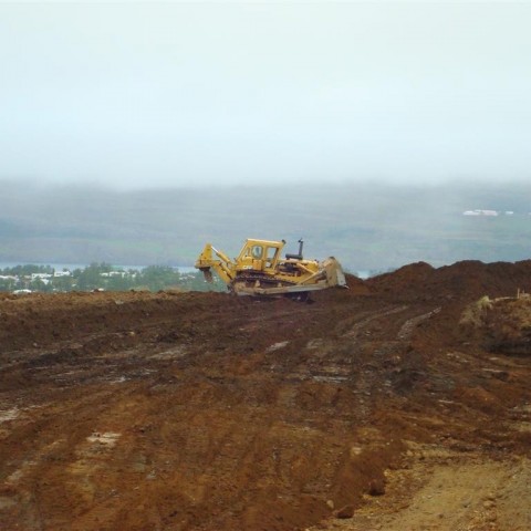 crop-27.08.2009_002__large_