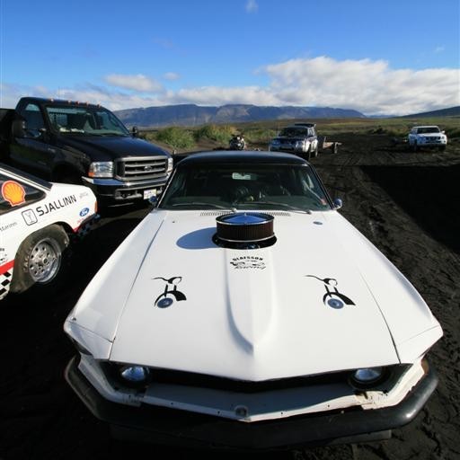 crop-img_3499__large_