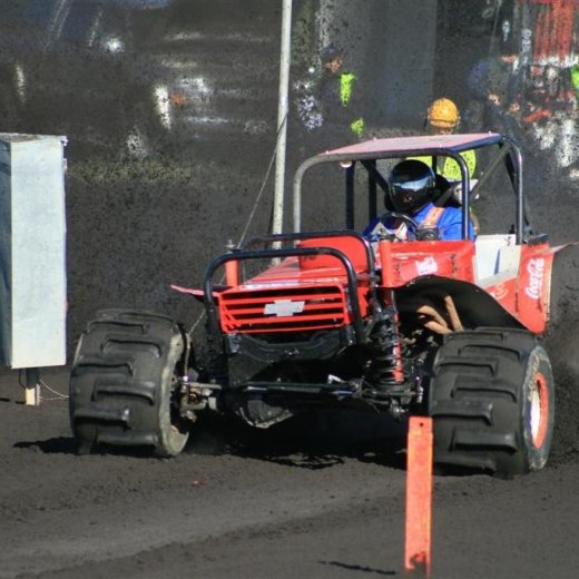 crop-img_3945__large_