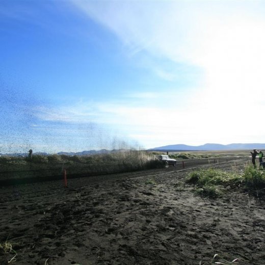 crop-img_4131__large_