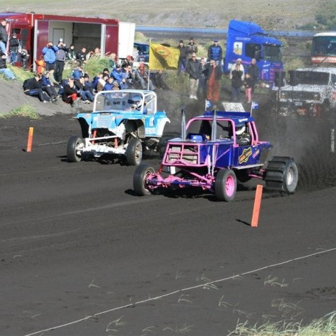 crop-img_3871__large_