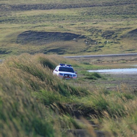 crop-img_3951__large_