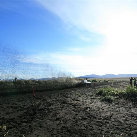 crop-img_4131__large_