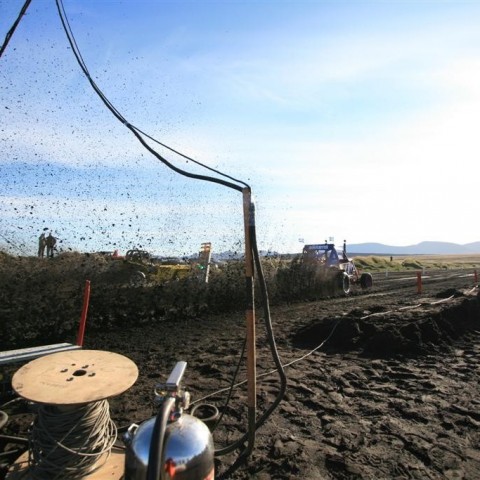 crop-img_4146__large_