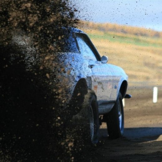 crop-img_5320__large_