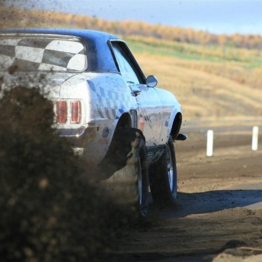 crop-img_5321__large_