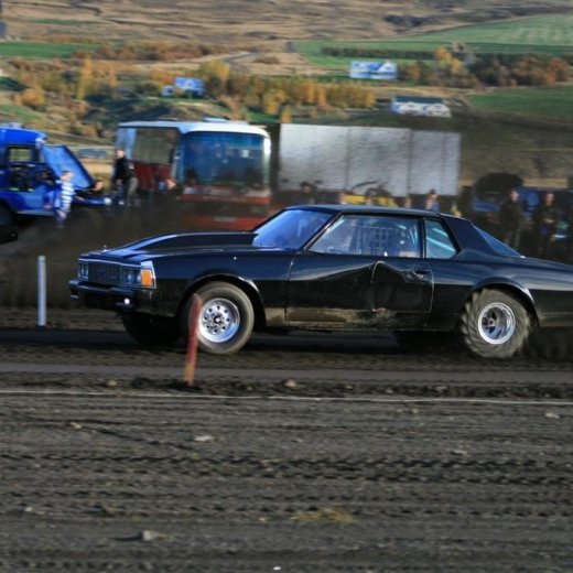 crop-img_5528__large_