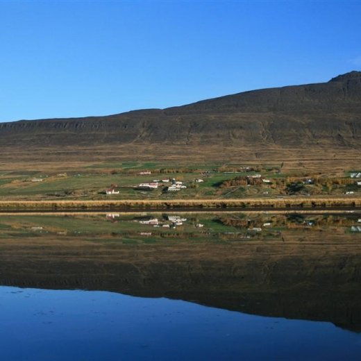 crop-img_5723__large_