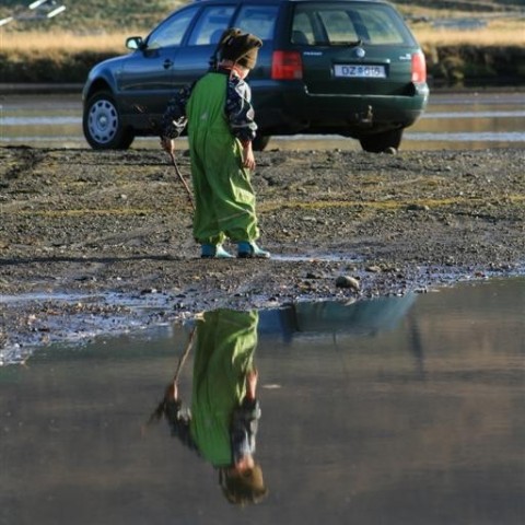 crop-img_5173__large_