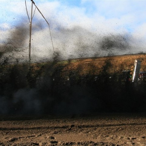 crop-img_5270__large_