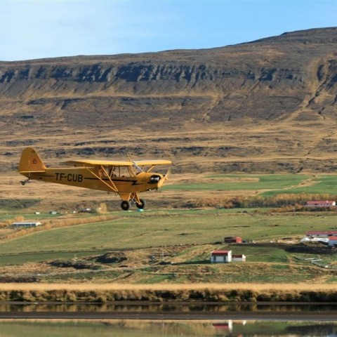 crop-img_5304__large_