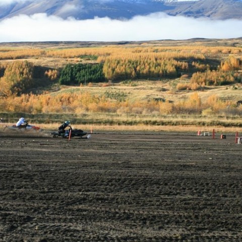 crop-img_5371__large_