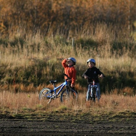 crop-img_5373__large_