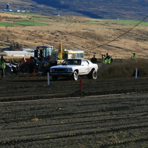 crop-img_5413__large_