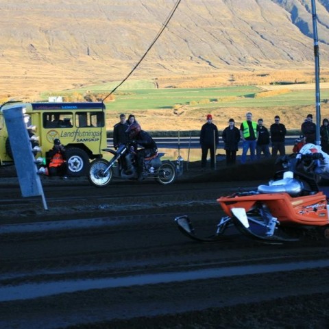 crop-img_5831__large_