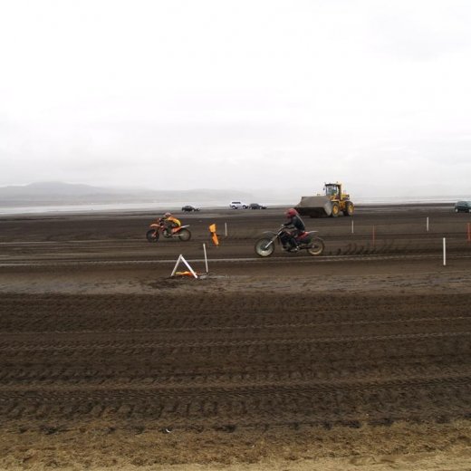 crop-p9056509__large_