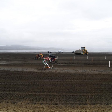 crop-p9056513__large_