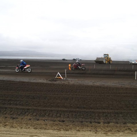 crop-p9056527__large_