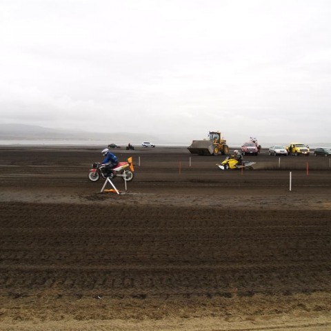 crop-p9056530__large_