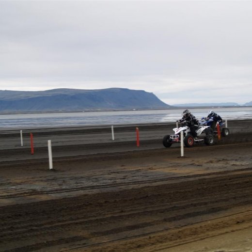 crop-p9056029__large_