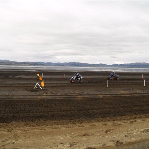 crop-p9056185__large_