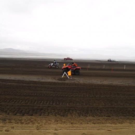 crop-p9056457__large_