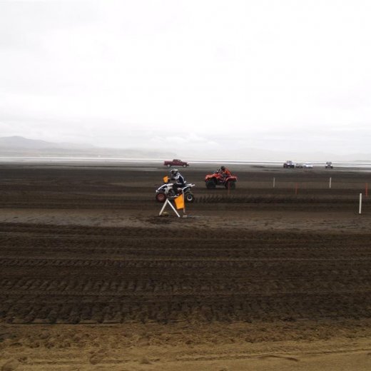 crop-p9056464__large_