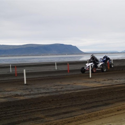 crop-p9056029__large_