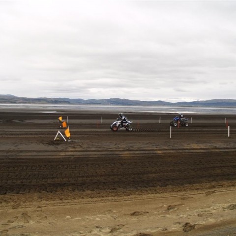 crop-p9056185__large_