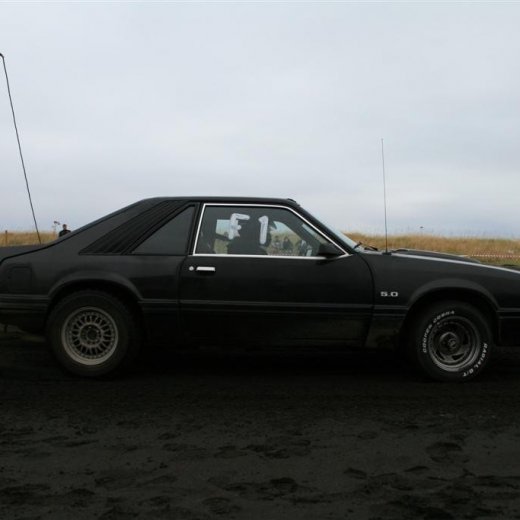 crop-05.09.2009_293__large_