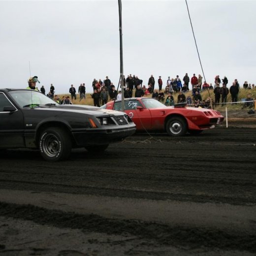 crop-05.09.2009_499__large_