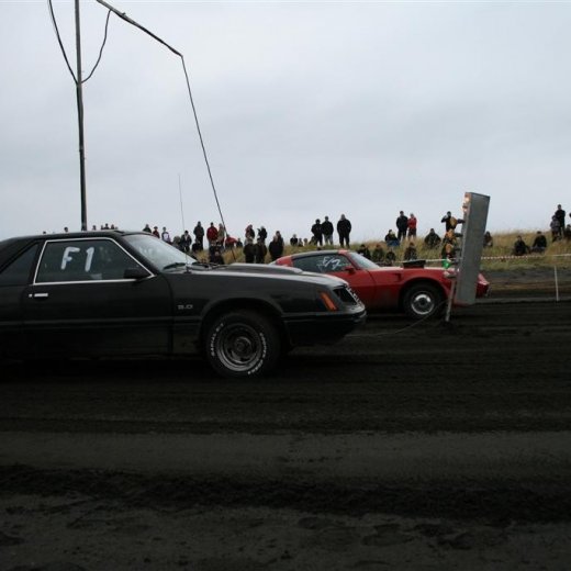 crop-05.09.2009_500__large_